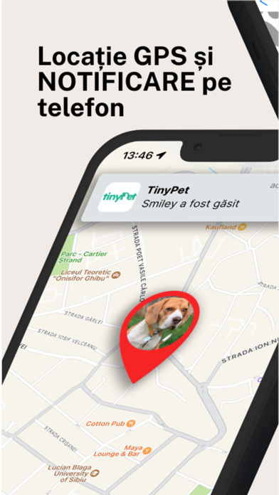 TinyPet Screenshot