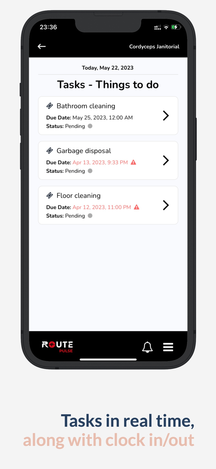 Route Pulse Cleaning Software