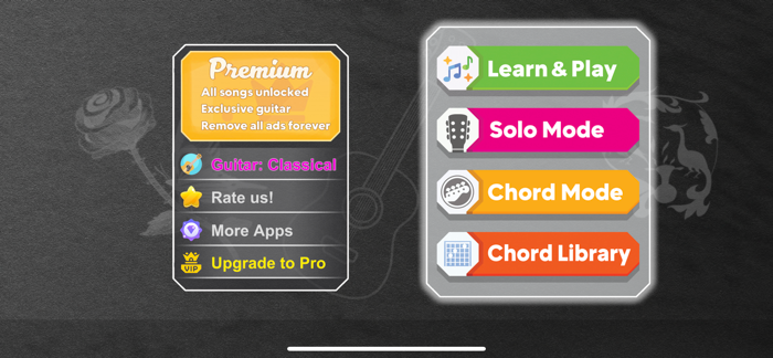 Guitar for real Guitarists