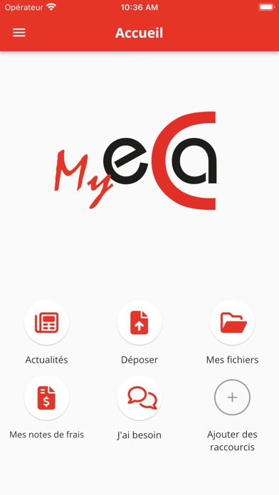 Myeca Screenshot