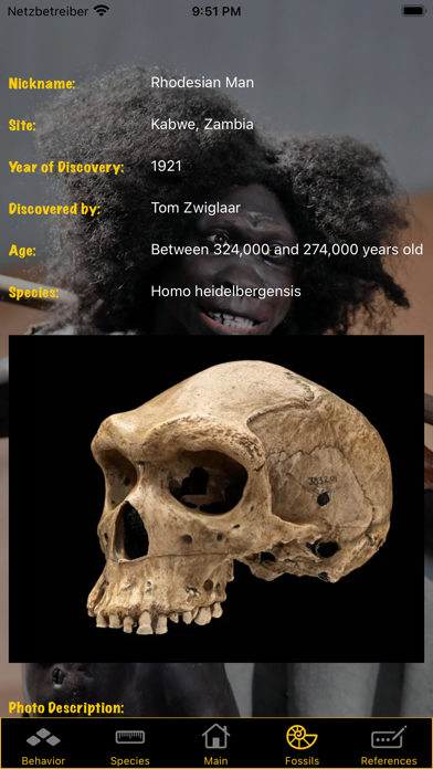 Human Evolution Screenshot