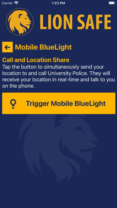 Lion Safe Screenshot
