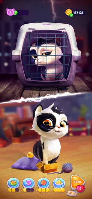 My Cat - Jogos de gato virtual – Apps no Google Play