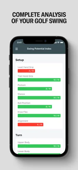 Game screenshot Swing Index hack