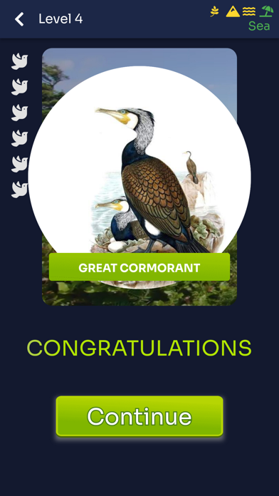 Bird Melody - Birds of Europe Screenshot