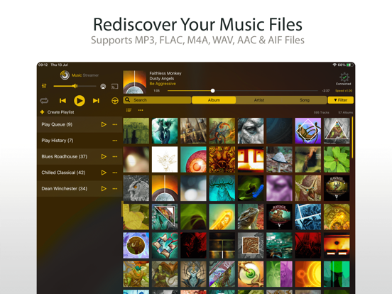 MusicStreamer iPad app afbeelding 2