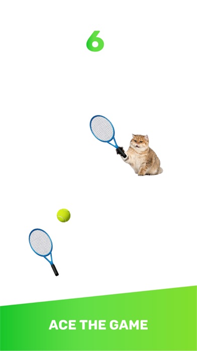 Cat Tennis Clash - 3D Tennis Screenshot