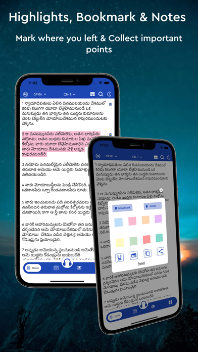 Telugu Bible Audio Screenshot