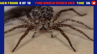 Spider Hidden Difference Screenshot