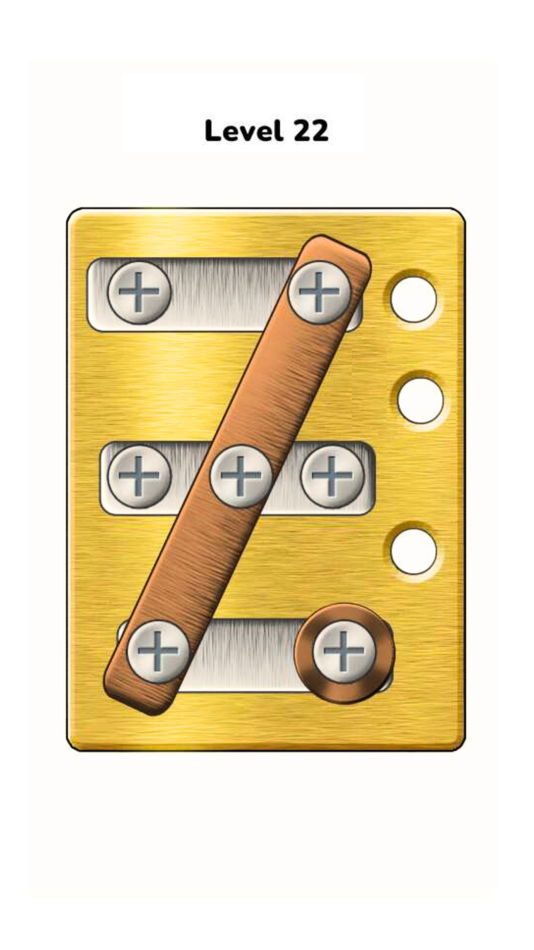#4. Nuts Screwing Puzzle (iOS) 由: Tran Tien Thanh