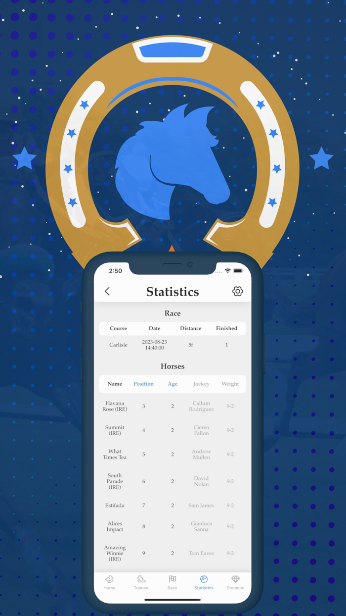 Horse racing - riding and win