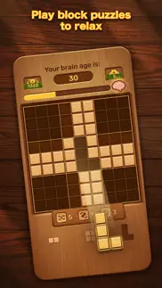 just blocks: wood block puzzle iphone screenshot 2