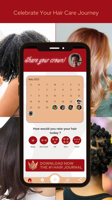 Crown Chronicles Hair Journal Screenshot