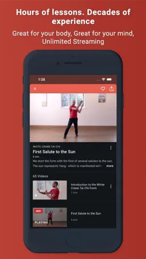 Tai Chi at Home screenshot 3