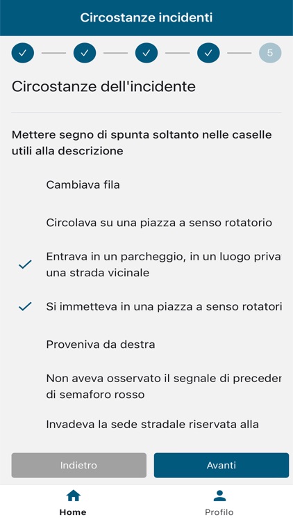 Piattaforma Sinistri Grassi screenshot-6