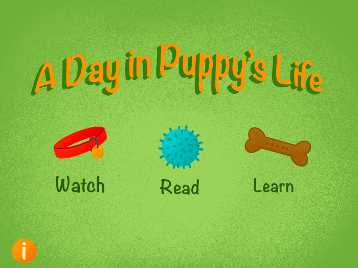 A Day in Puppys Life