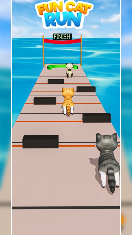 Cat Fun Race 3D Run Face Game