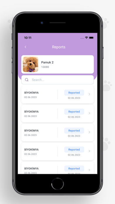 VetAmerikan Screenshot