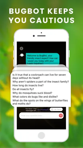 Game screenshot What bug is this Identify bugs hack