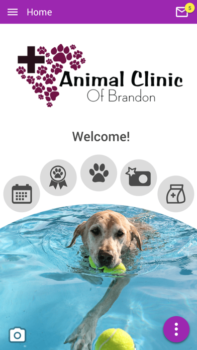Animal Clinic of Brandon Screenshot