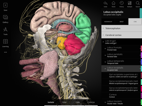 Screenshot #4 pour Anatomyka