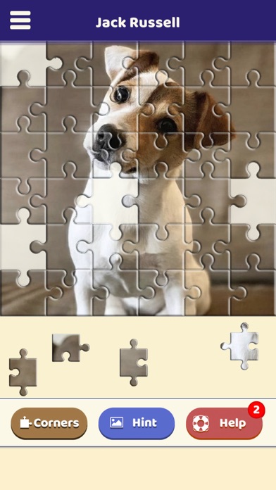 Jack Russell Puzzle Screenshot