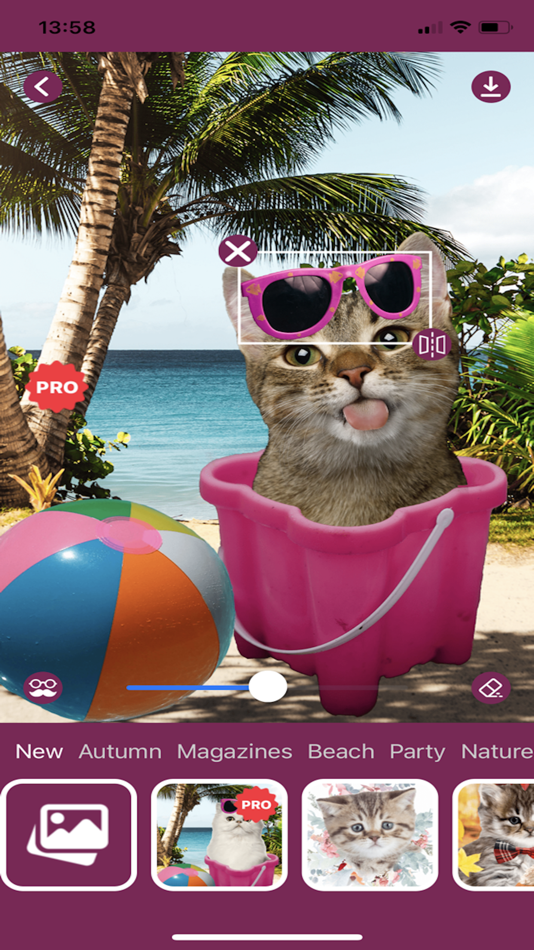 #7. Cat Photo Editor! (iOS) Ved: Random Step