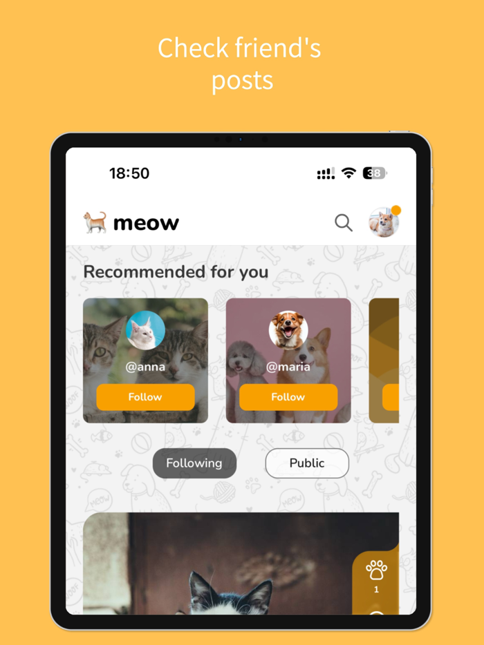 Petigo - Connecting pet lovers