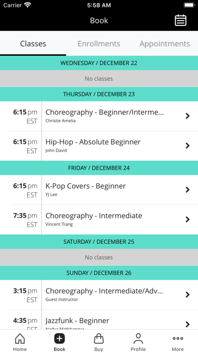VYbE Dance Company Screenshot