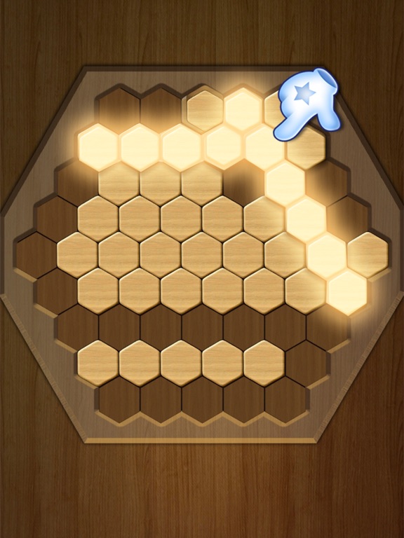 Wood Block Puzzle 2022 screenshot 2