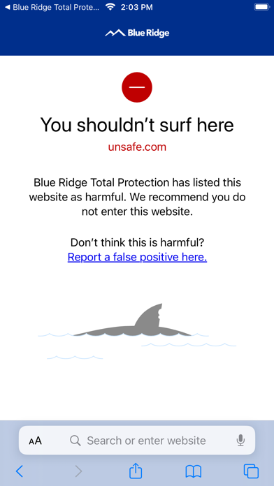 Blue Ridge Total Protection Screenshot