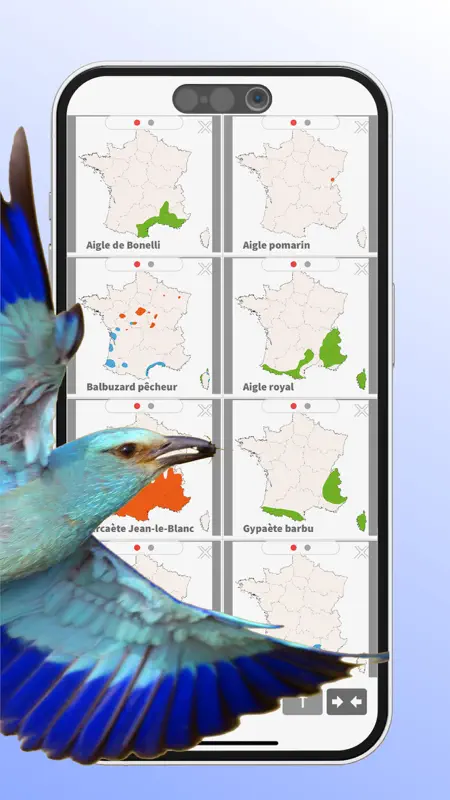 Ois'App - Oiseaux de France screenshot 8 of 10