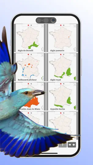 Capture d'écran de Ois'App - Oiseaux De France sur iPhone 8