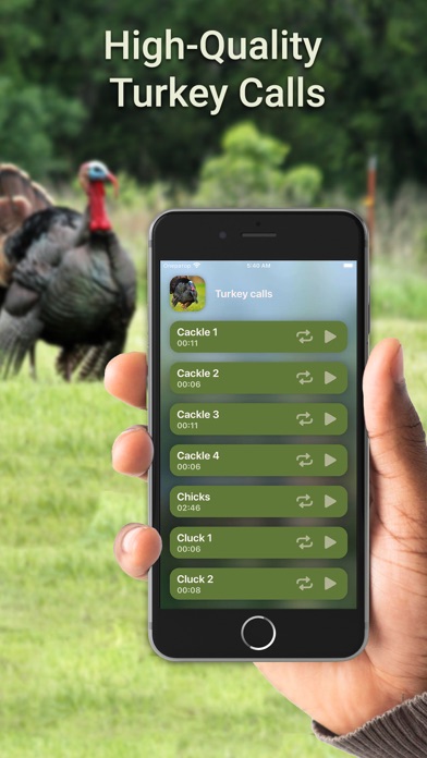 Hunting Calls: Turkey Screenshot