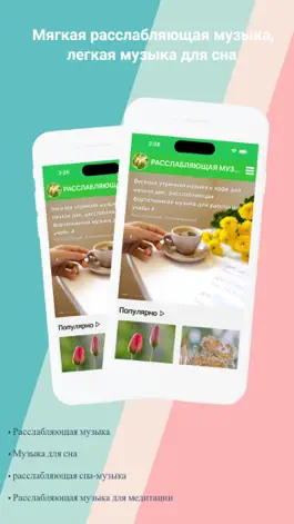 Game screenshot расслабляющую музыку mod apk