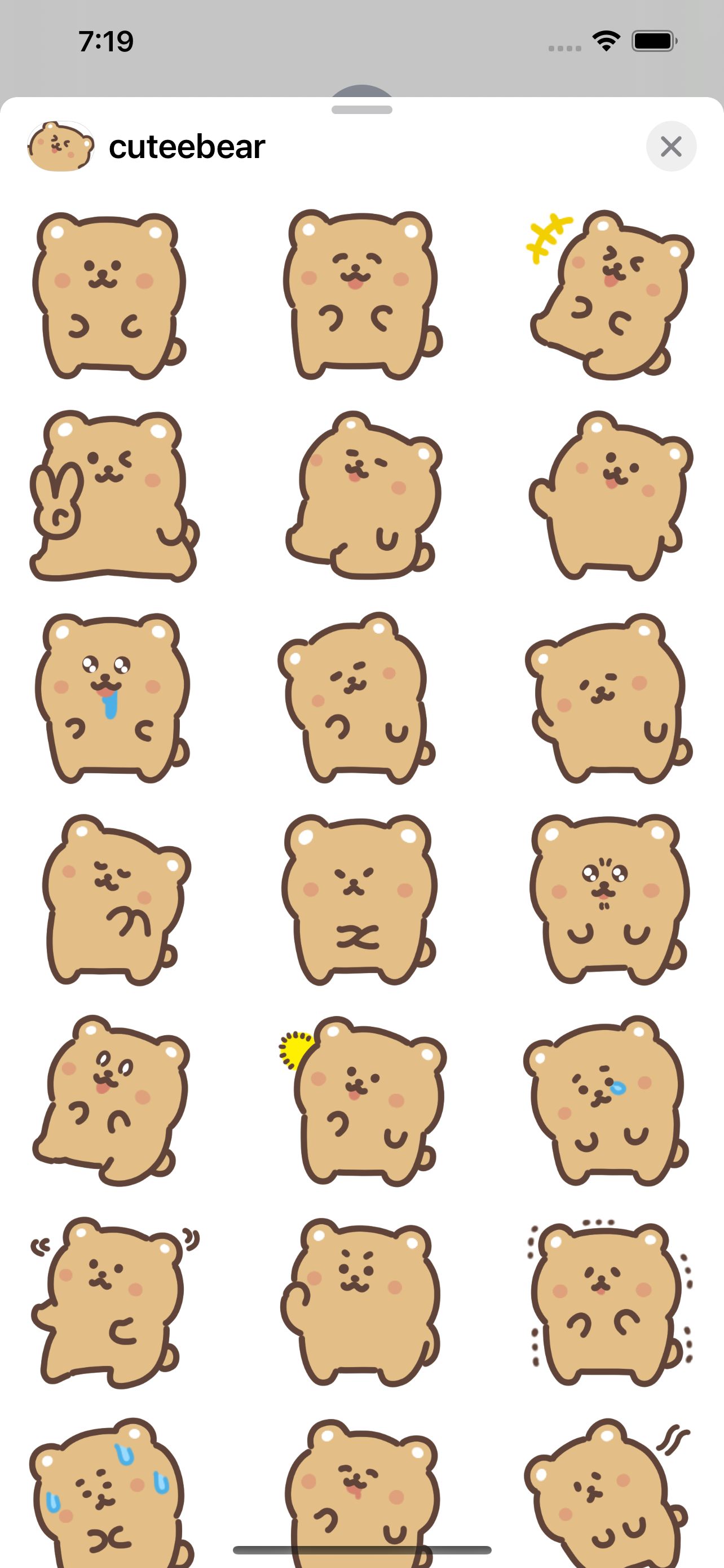 cutee bear sticker