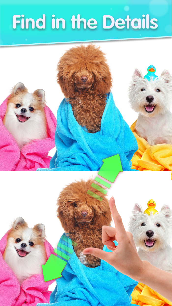 Find Differences Puzzle Game