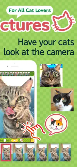Game screenshot toruneko (KittyCam) apk