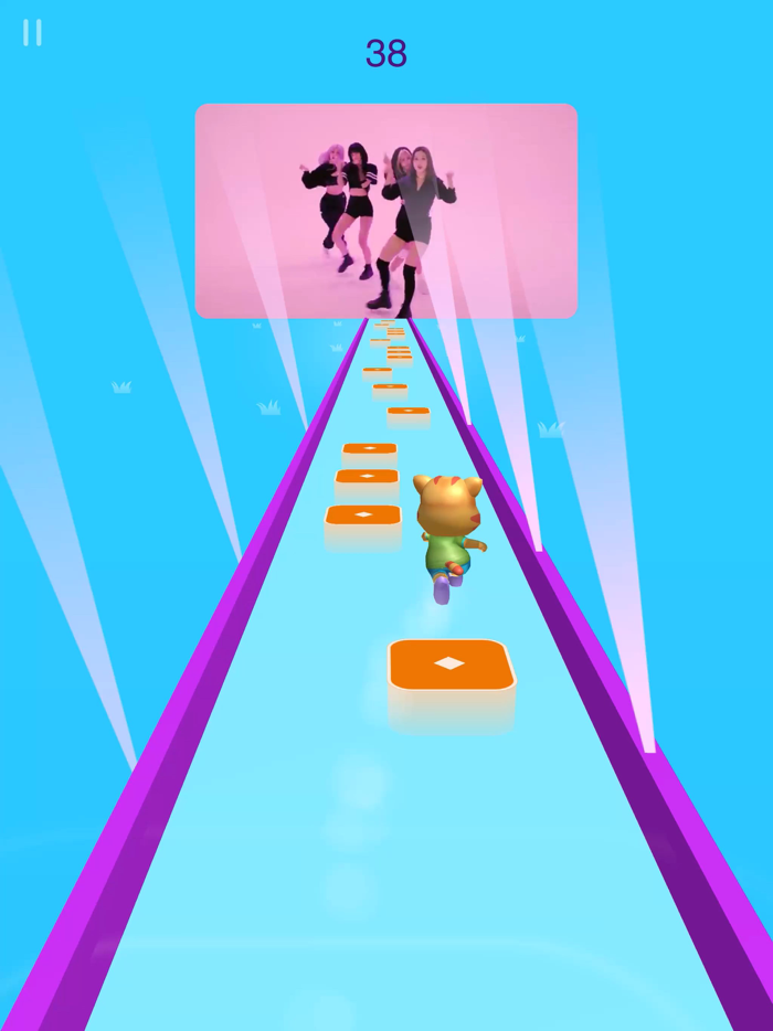 Dance Tuber Cat Beat Lover