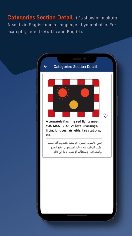 Theory Translated screenshot-5