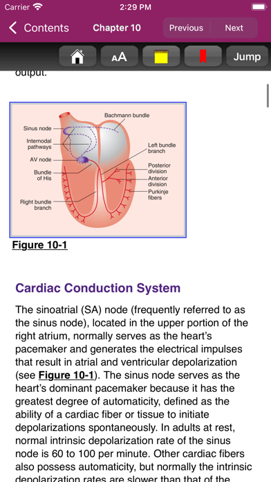 Pharmacotherapy Principles 6/E Screenshot