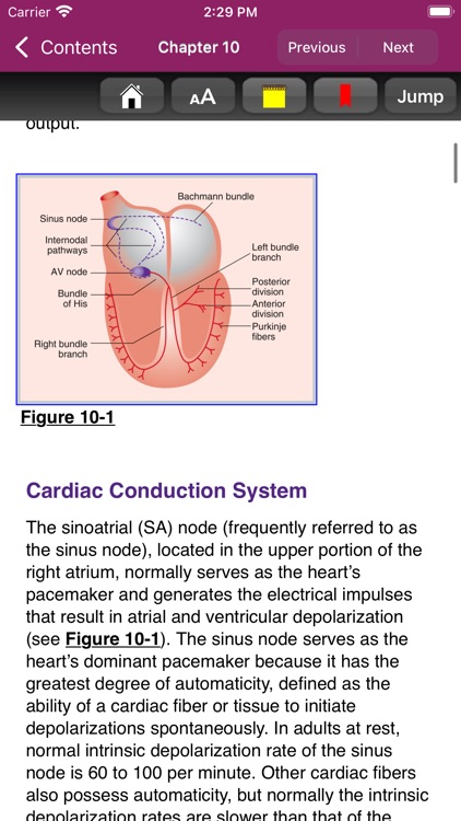 Pharmacotherapy Principles 6/E screenshot-5