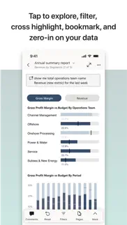 microsoft power bi iphone screenshot 3