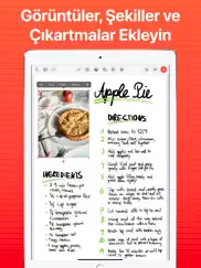 supernotes ipad resimleri 4