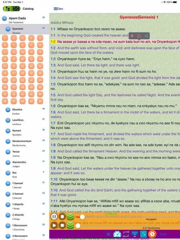 Screenshot #5 pour English Ghana Twi Audio Bible