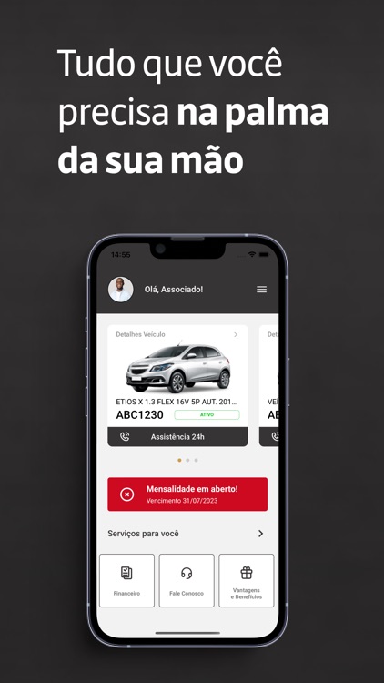 Dynamic Proteção Veicular