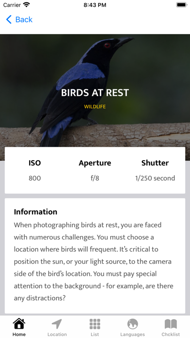 Indian Birds Screenshot