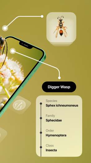 Insect Identifier for iPhone - APP DOWNLOAD