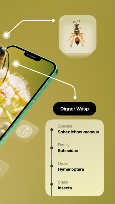 Screenshot #2 pour Insect Identifier