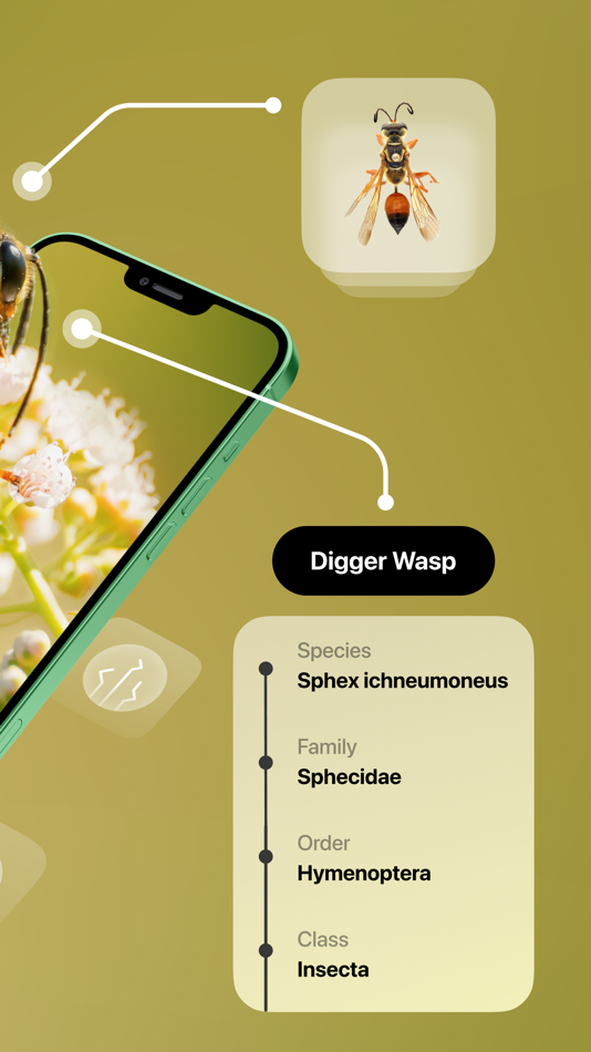 #2. Insect Identifier (iOS) By: Le Giang Nam